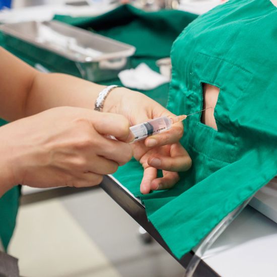 A person practicing regional anesthesia on a mannequin.